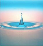 Acqua Acqua